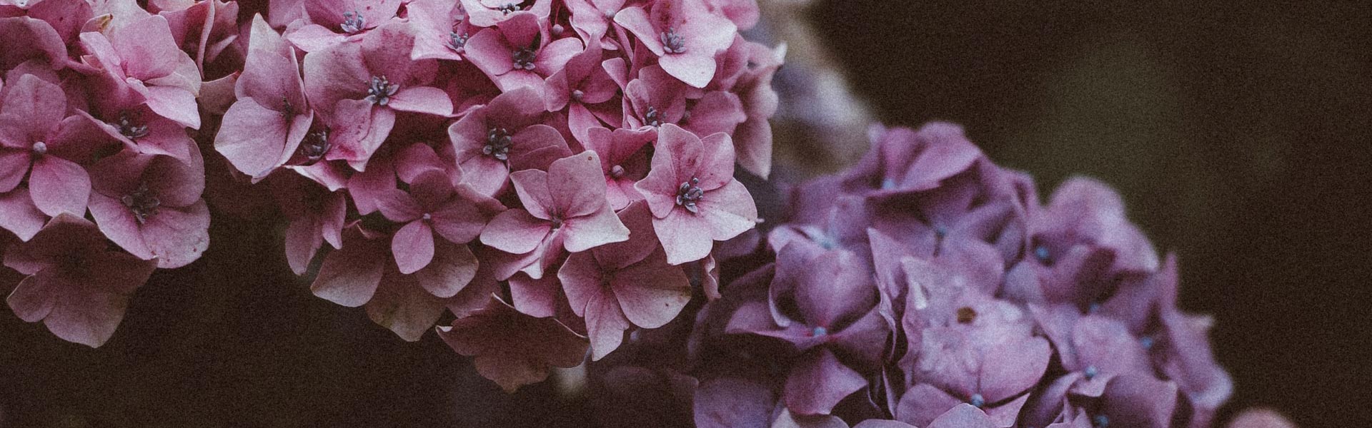 Advokat Yvette Randquist