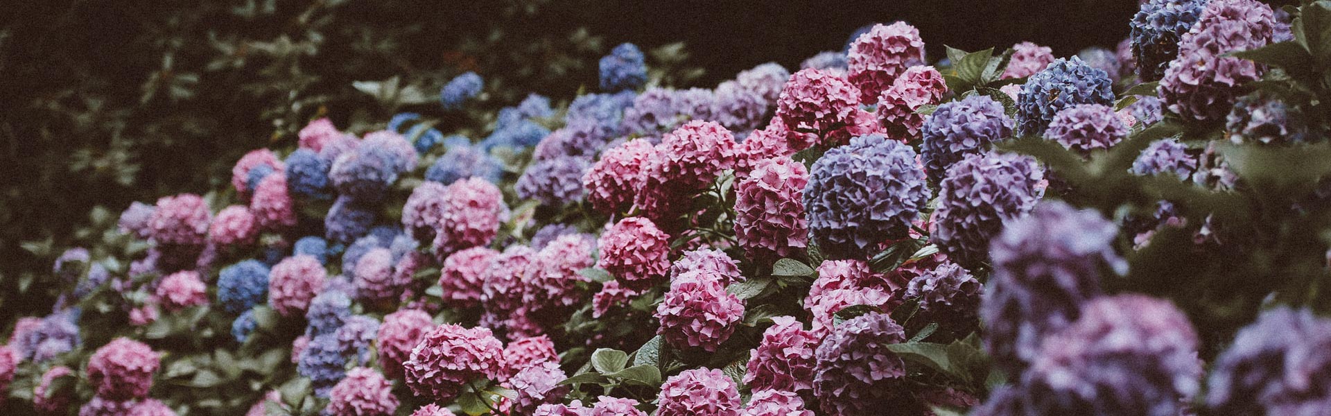 Advokat Yvette Randquist