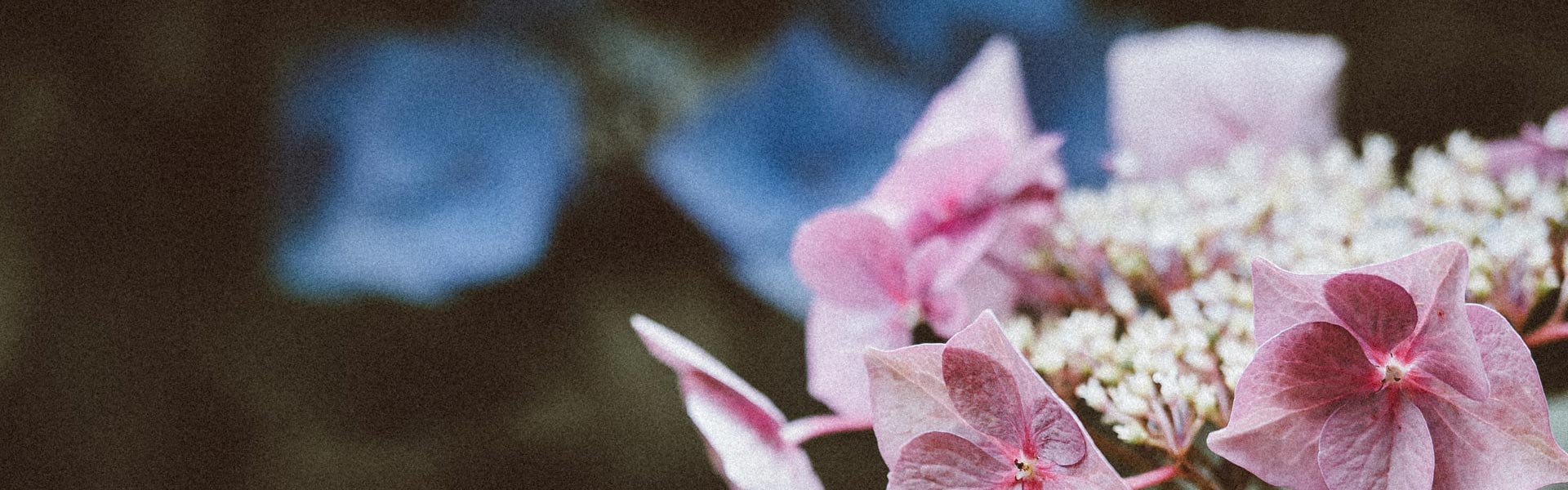 Advokat Yvette Randquist